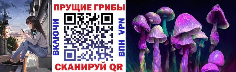 Псилоцибиновые грибы прущие грибы  Вуктыл 